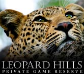 Leopard Hills Private Game Reserve, South Africa